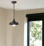 Matte Black Shallow Plate Adjustable Pendant Light