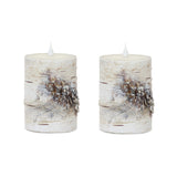 Set of Two Beige and Ivory Faux Birchwood Flameless Pillar Candle